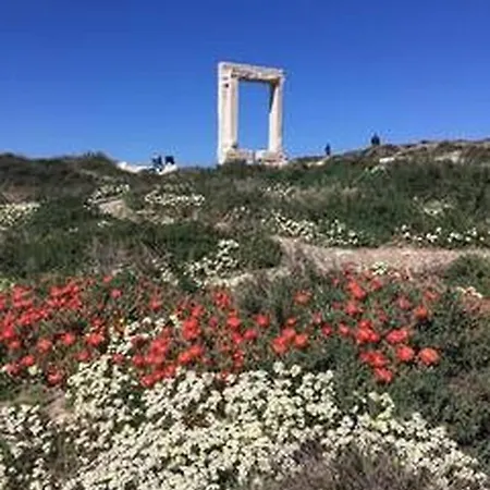 Valentinas Apartment Naxos City